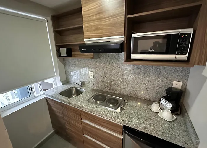 Rio Elba Apartment Mexico City